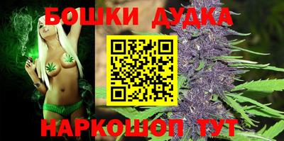 spice Камышлов
