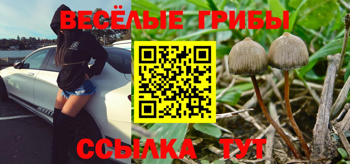 Галлюциногенные грибы мицелий  цены наркотик  Балашов  Вход с VPN 